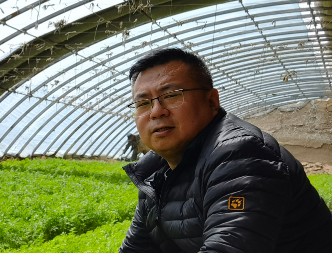 1668496860024017521.png 64024f3bb2620fa95f844a39003315c.png