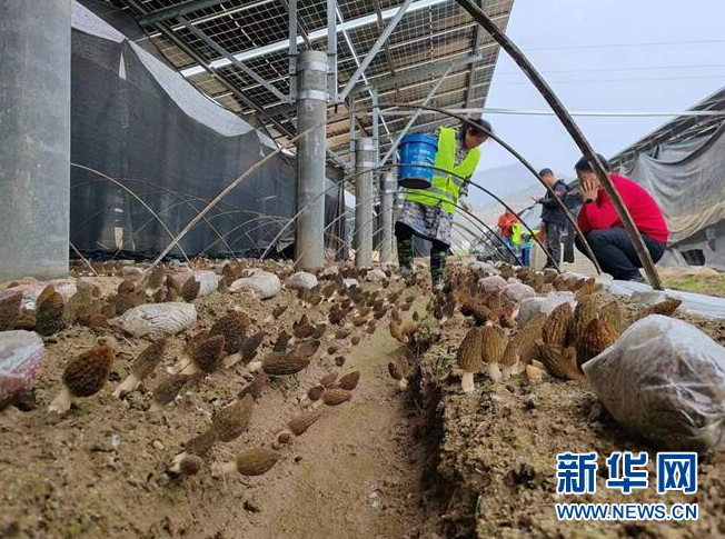 1679014587501000767.png 微信截图_20230317085221.png