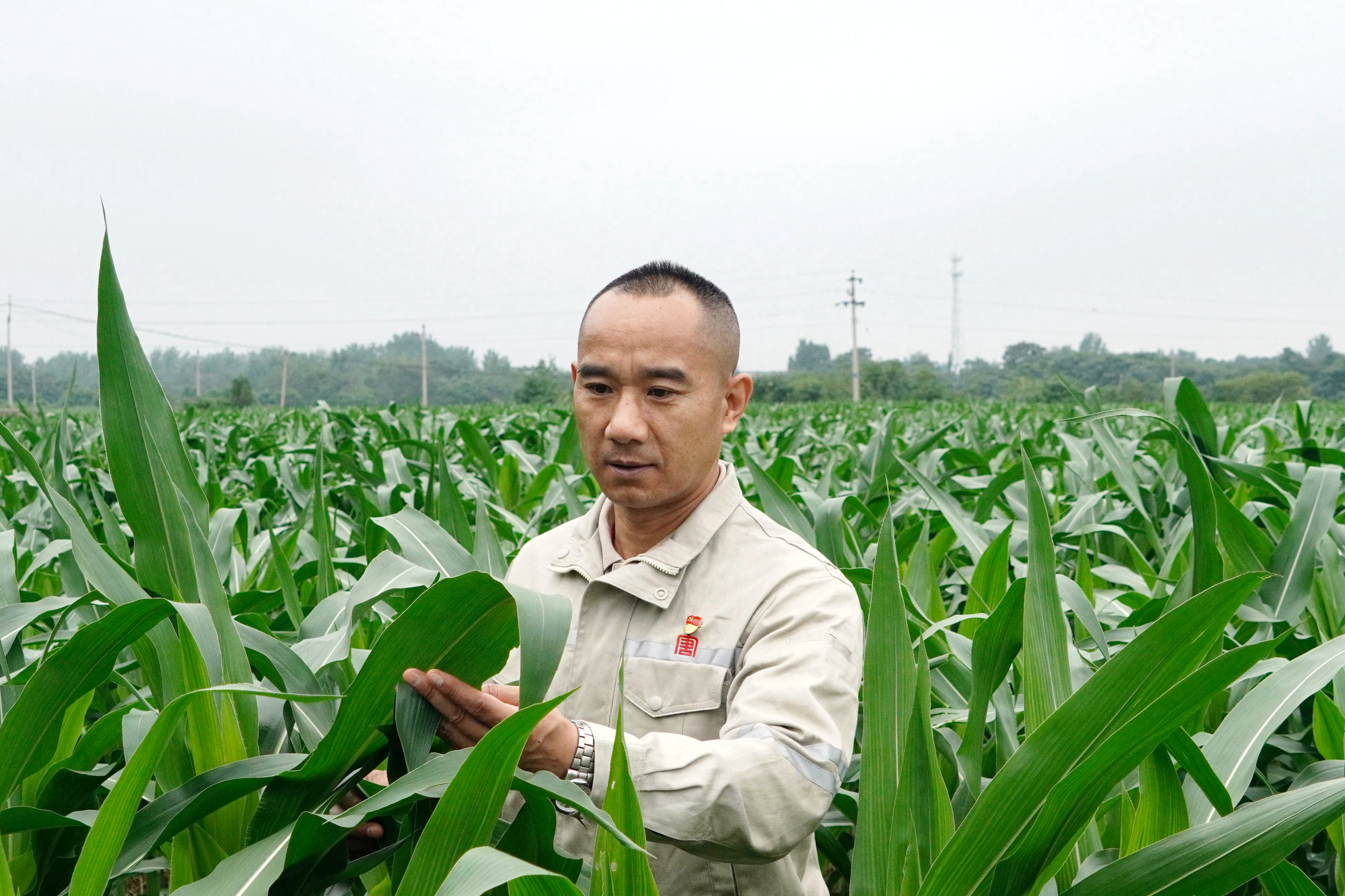 1723530152558050261.jpg 苏东.jpg